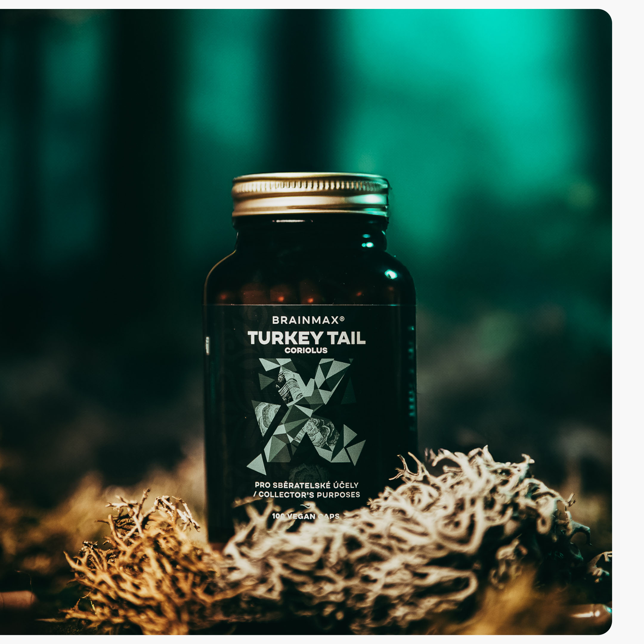 turkey tail produkt